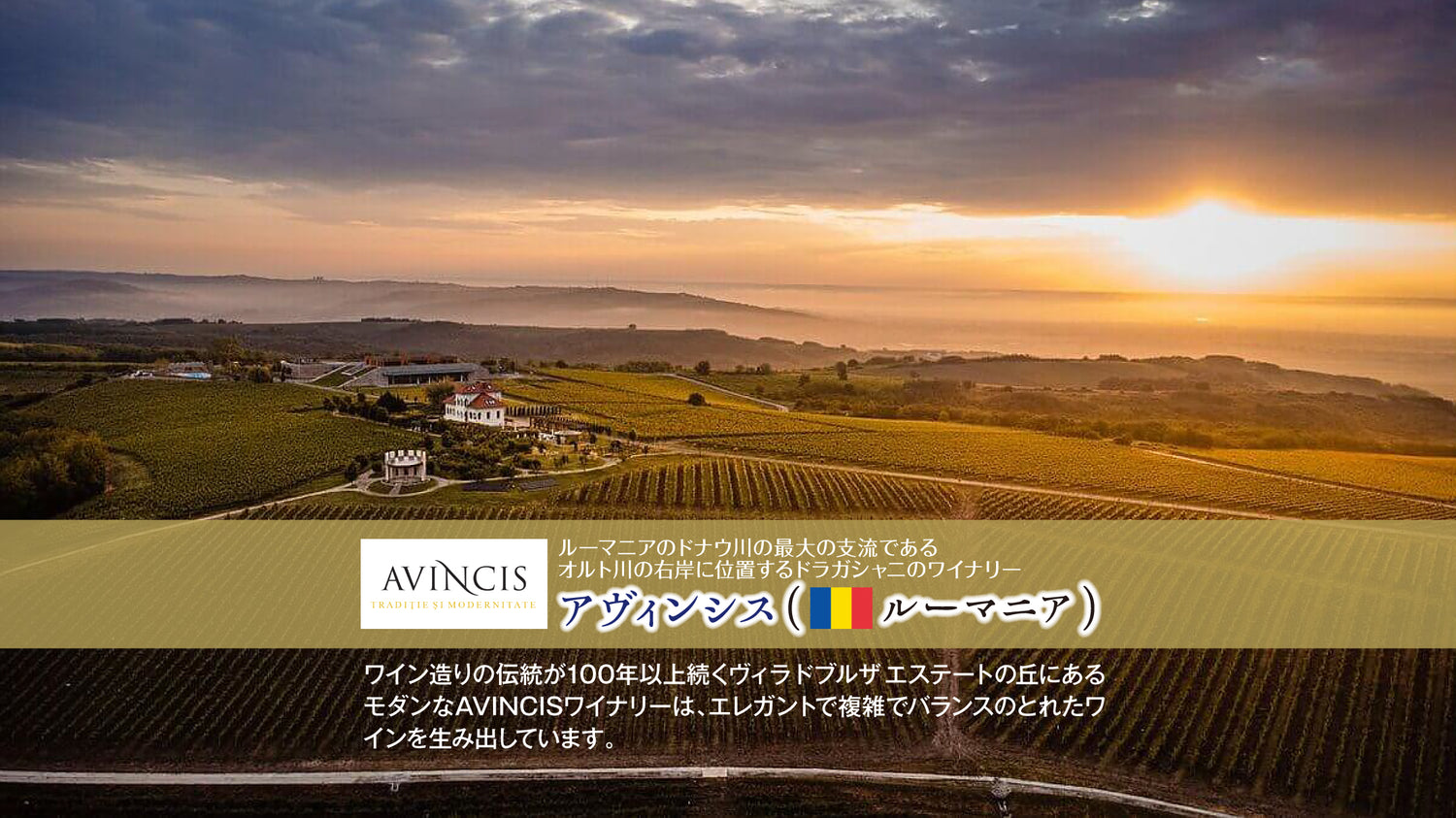 Avincis