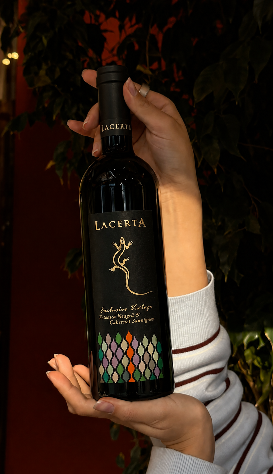 フェテアスカネアグラ カベルネソーヴィニヨン 2018（Feteasca Neagra Cabernet Sauvignon）