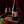 Load image into Gallery viewer, Tempranillo
