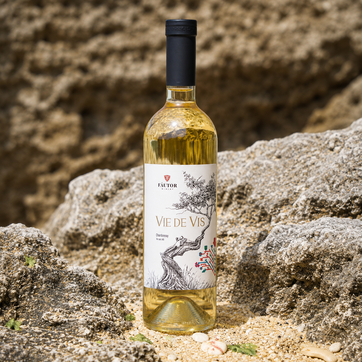VIE DE VIS シャルドネ 2022 (Vie de Vis Chardonnay)