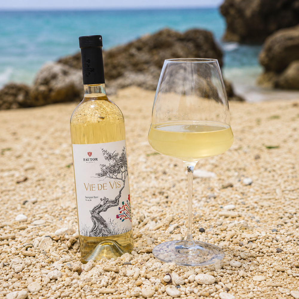 VIE DE VIS ソーヴィニョンブランブラン 2022 (Vie de Vis Sauvignon Blanc)
