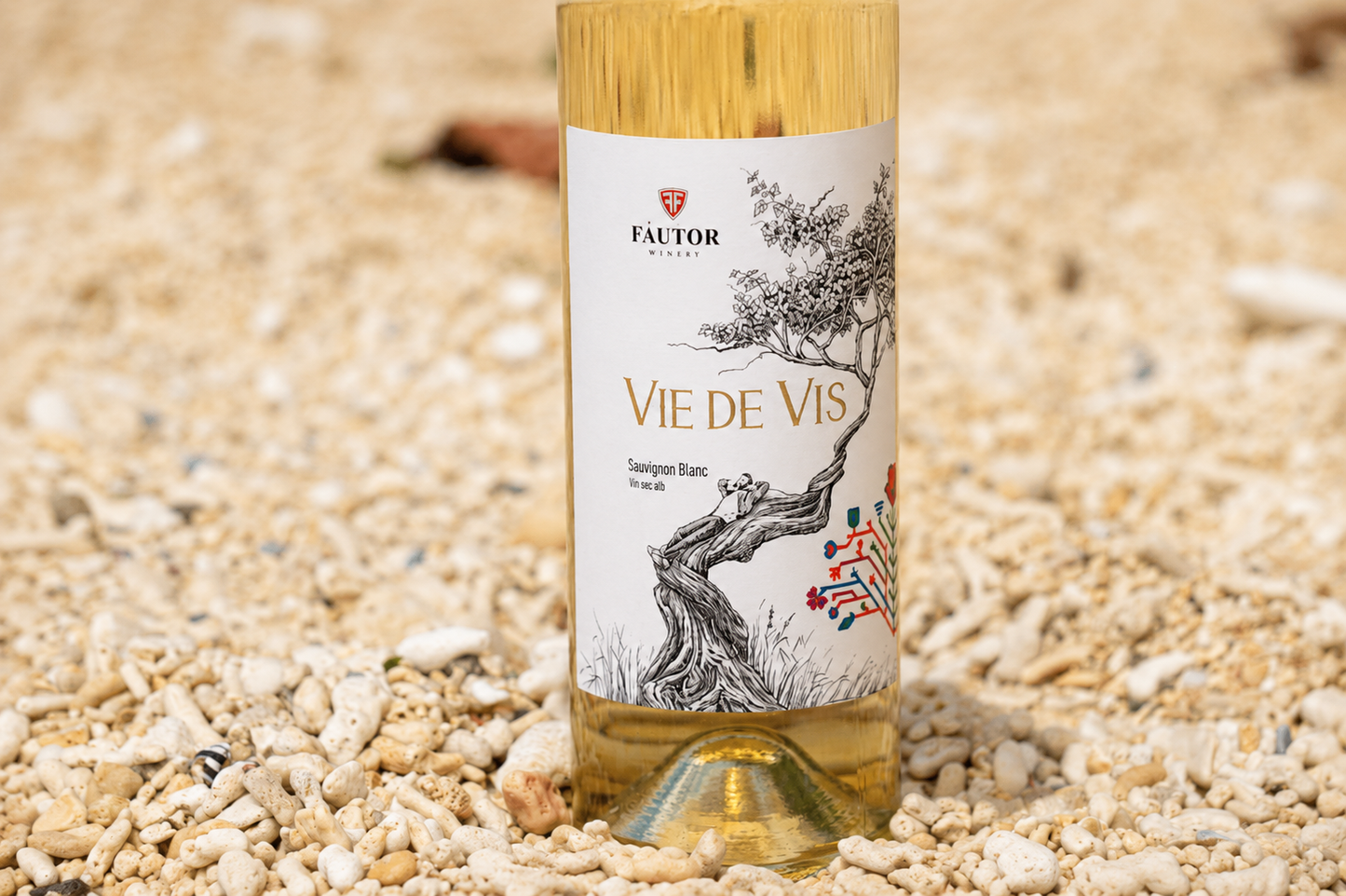 VIE DE VIS ソーヴィニョンブランブラン 2022 (Vie de Vis Sauvignon Blanc)