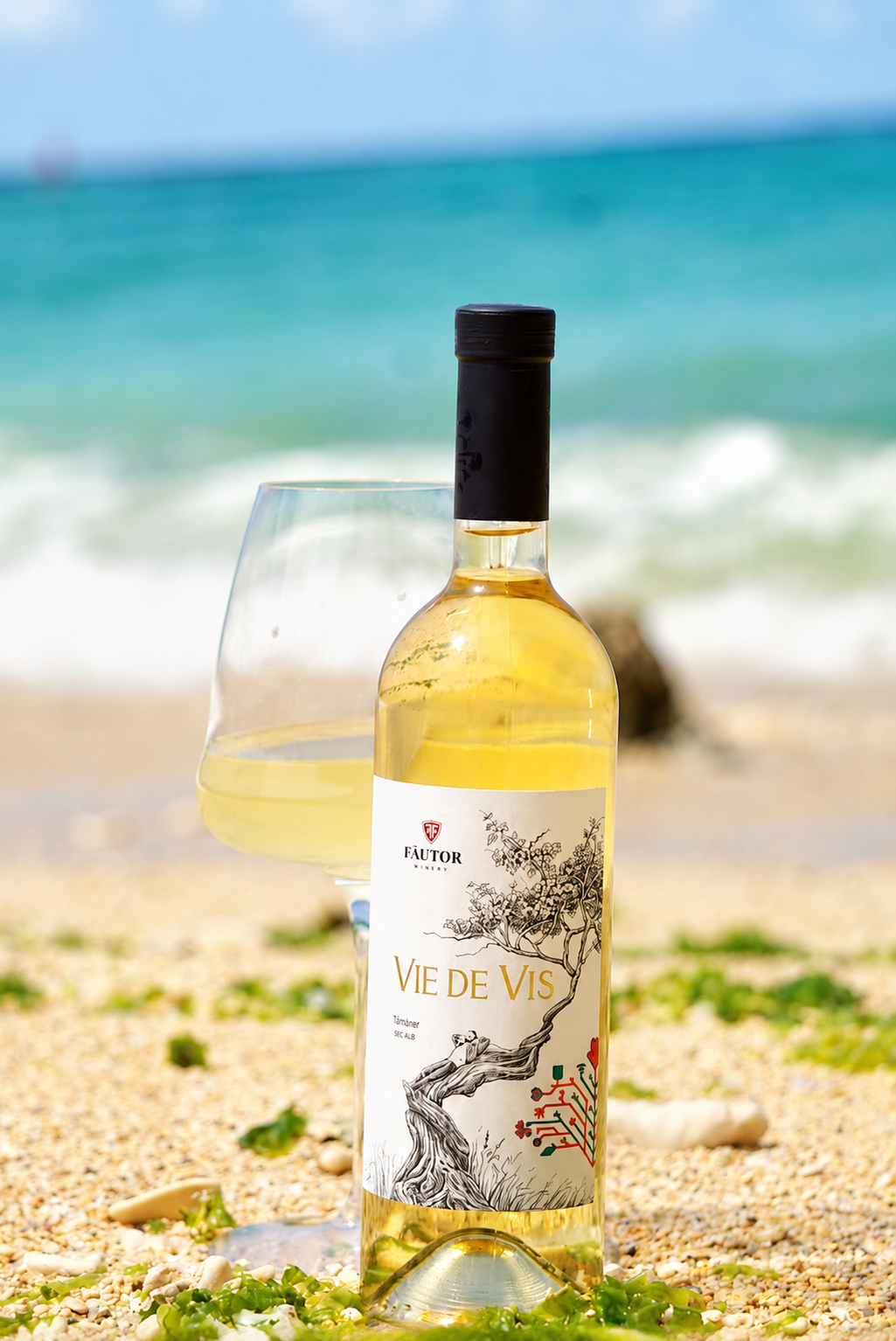 VIE DE VIS トラミネール 2022 (Vie de Vis Traminer)