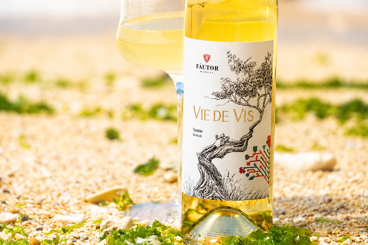 VIE DE VIS トラミネール 2022 (Vie de Vis Traminer)